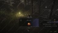 Shabriri Grapes are few and far between (Image via FromSoftware Inc.)